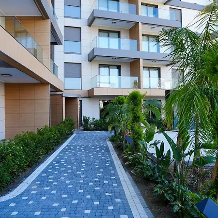 Halil Aslan Taysas Nova * Gazipaşa