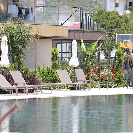 Halil Aslan Taysas Nova