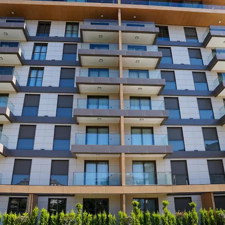 Halil Aslan Taysas Nova