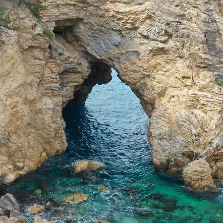 Halil Aslan Taysas Nova Gazipaşa