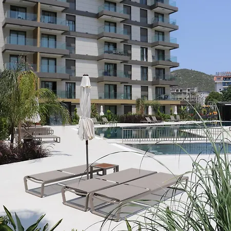 Halil Aslan Taysas Nova *