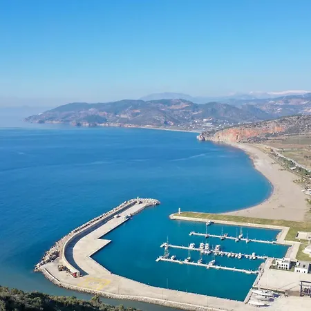 Halil Aslan Taysas Nova Gazipasa