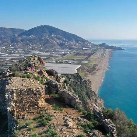 Halil Aslan Taysas Nova